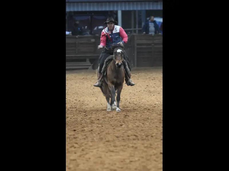 DSC_7134.MOV