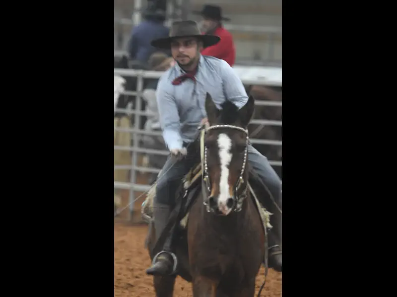 DSC_3642.MOV
