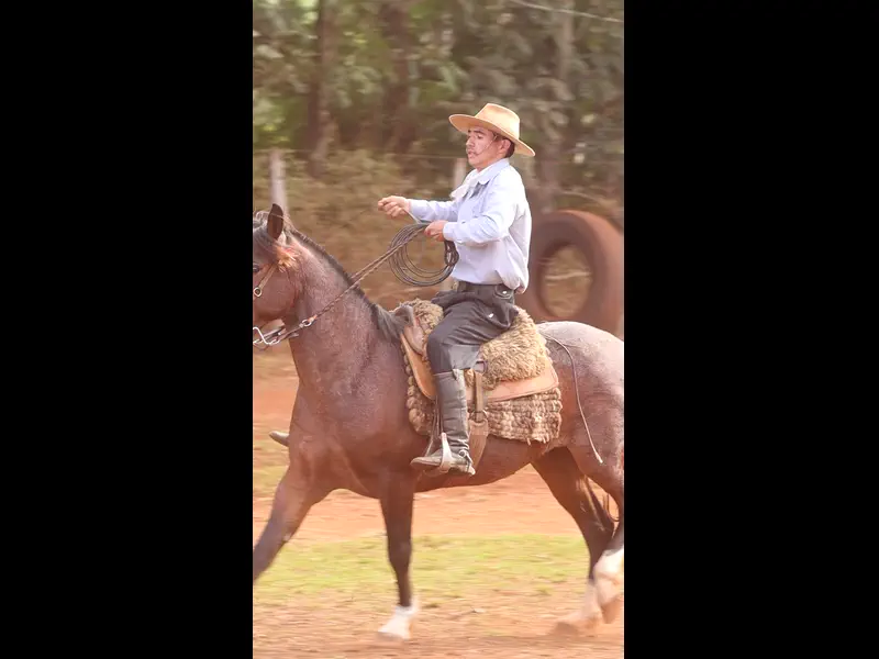 MVI_7316.MP4