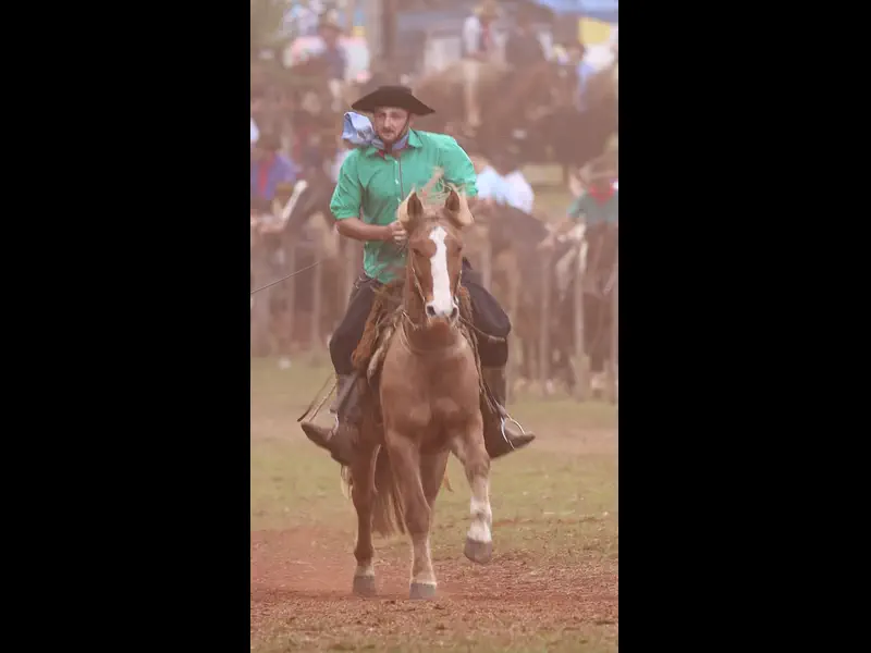 MVI_7741.MP4