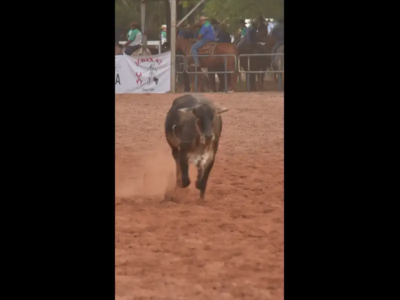 DSC_5218.MOV