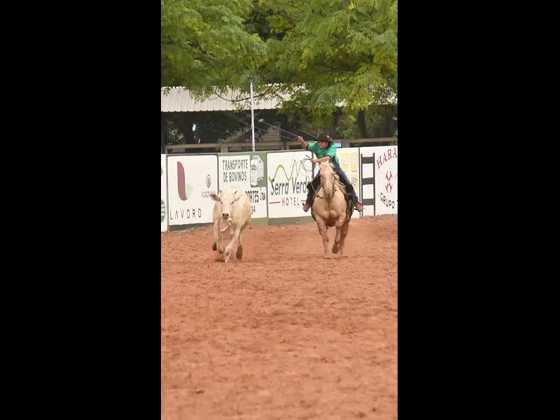DSC_6646.MOV