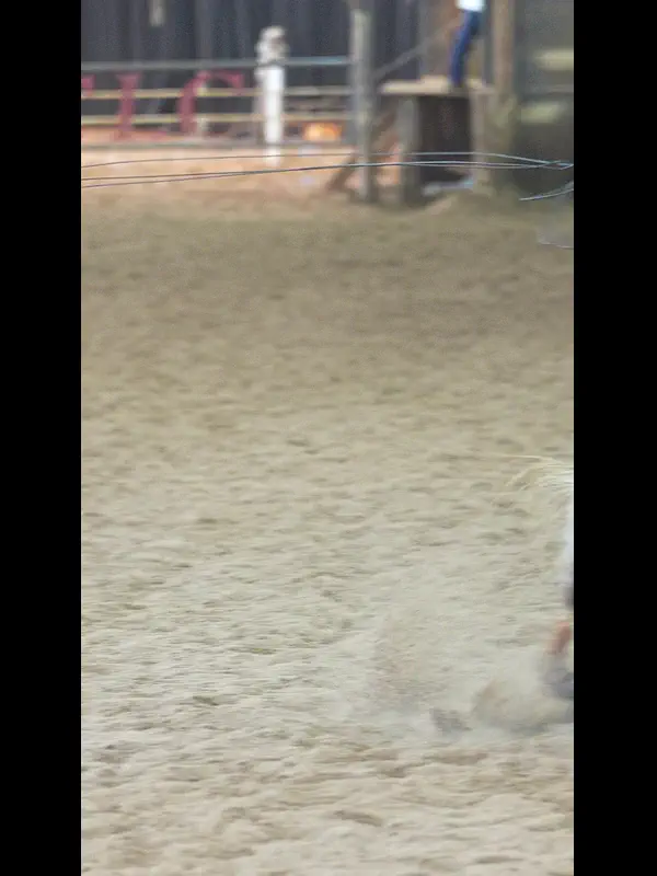 C9569.MP4
