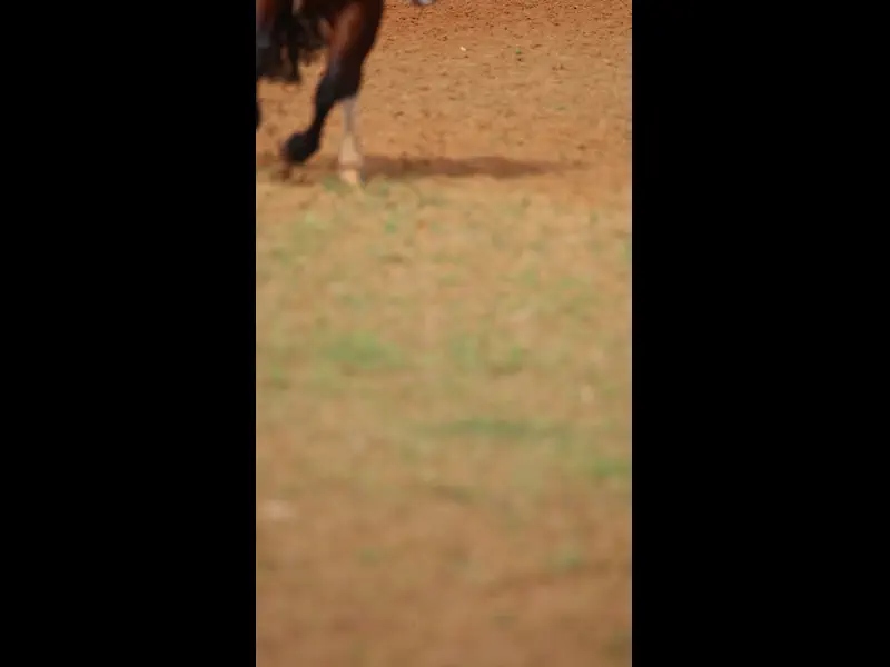 MVI_4482.MOV