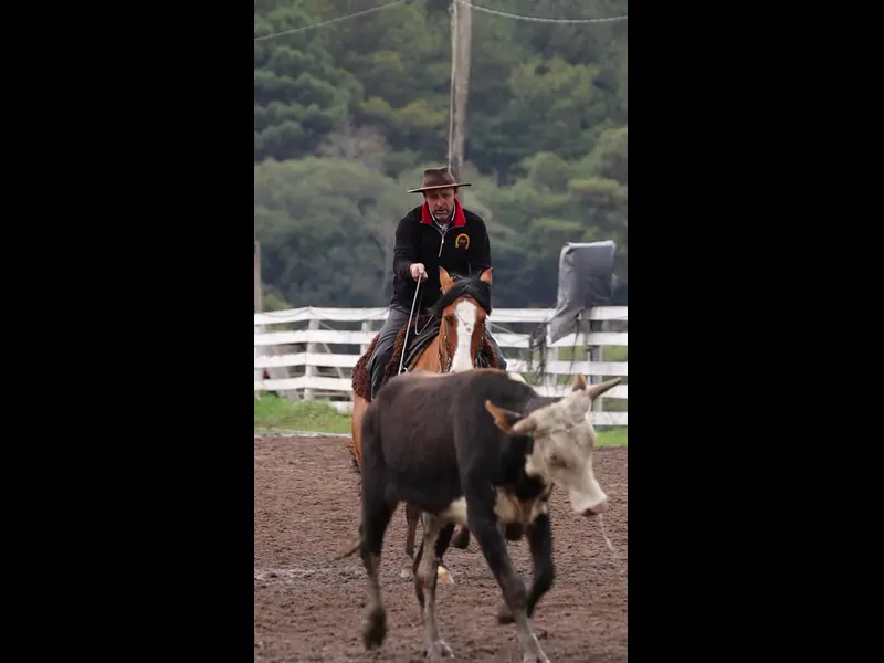 MVI_5429.MP4