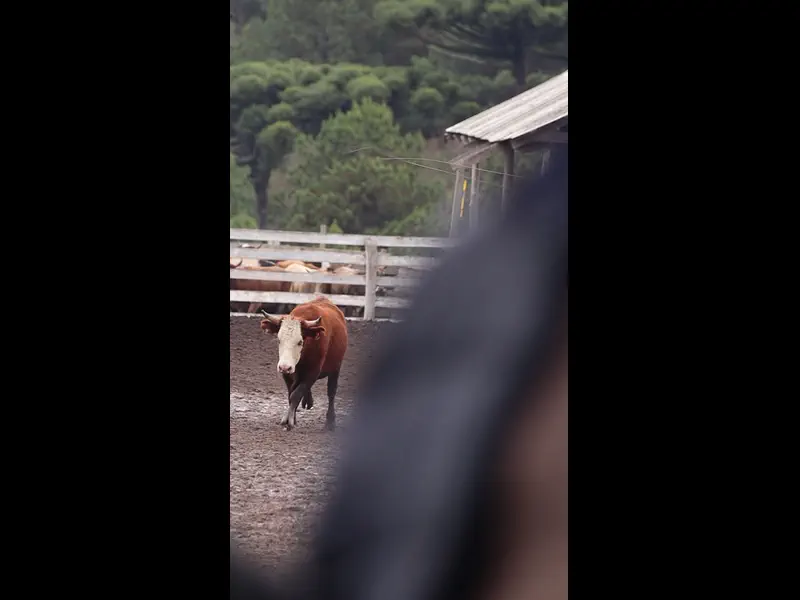 MVI_5556.MP4
