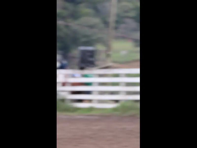 MVI_5991.MP4