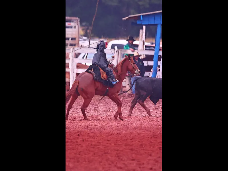 IWA48401.MP4