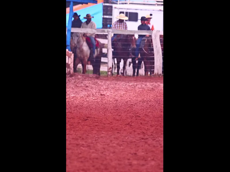 IWA48409.MP4