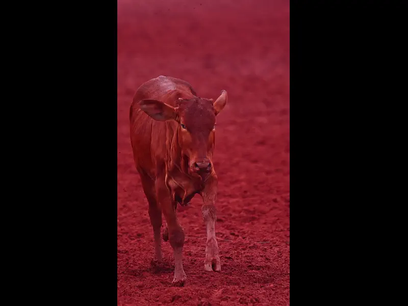 IWA48438.MP4