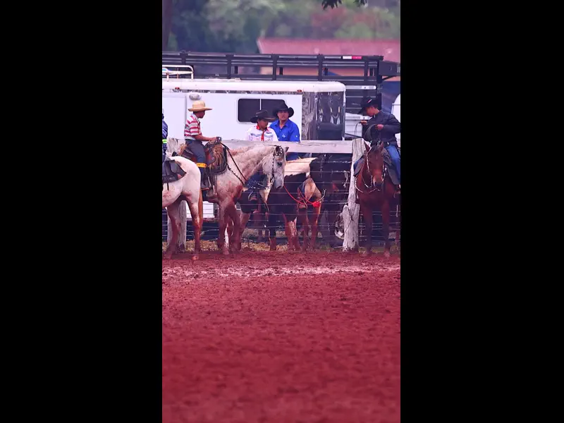 IWA48440.MP4