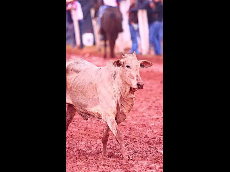 IWA48486.MP4