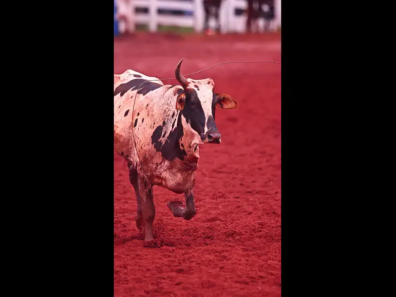 IWA47881.MP4