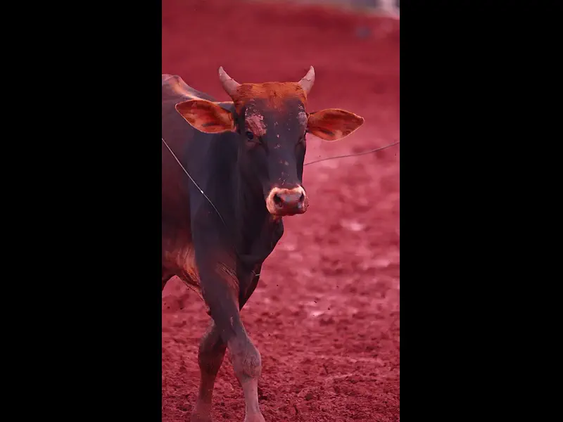 IWA47887.MP4