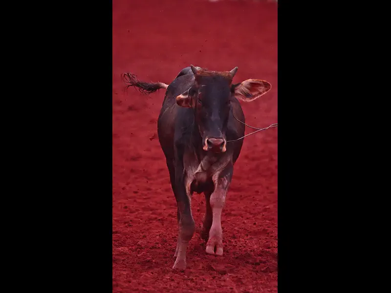 IWA48131.MP4