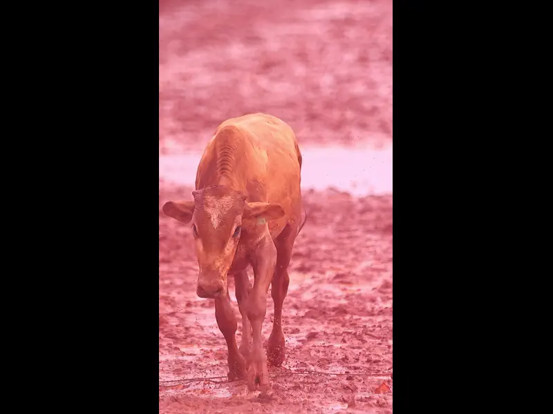 IWA48686.MP4