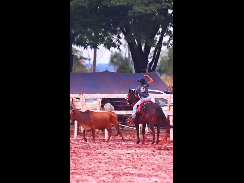 IWA48724.MP4