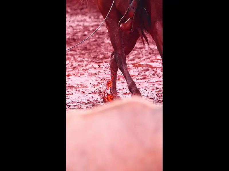 IWA48858.MP4