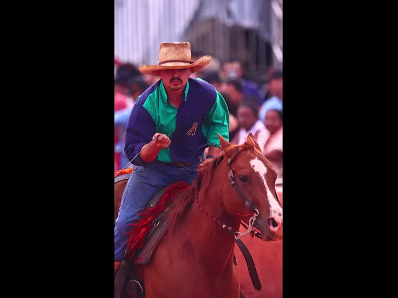 IWA48868.MP4