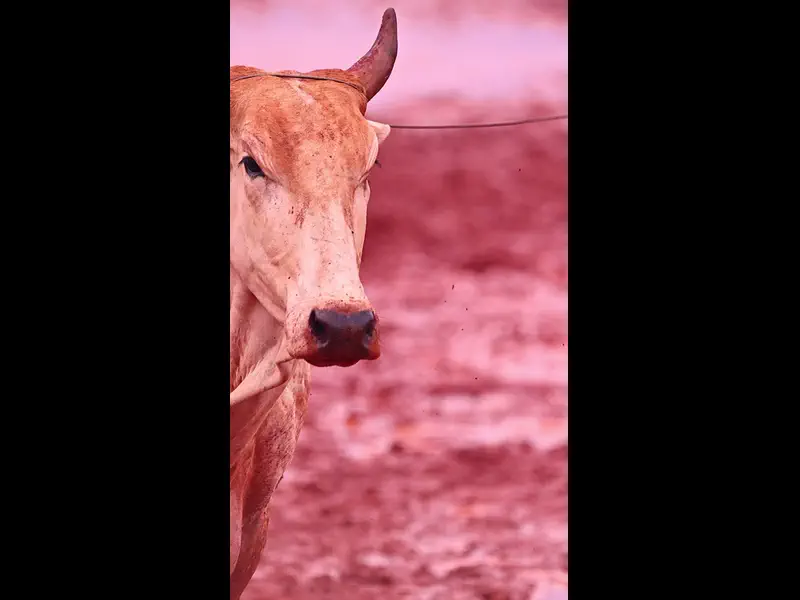 IWA48895.MP4