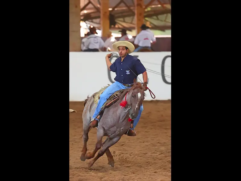 IMG_8285.MP4