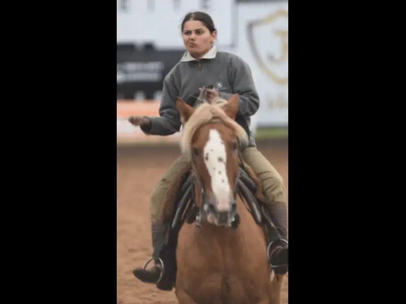 DSC_2403.MOV