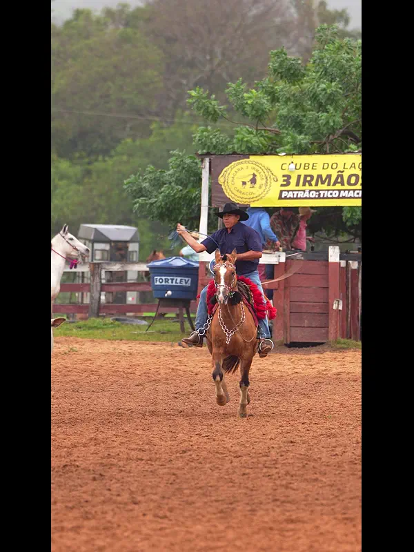 C1003.MP4