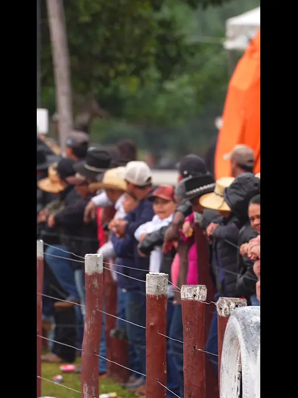 C1692.MP4