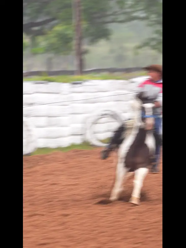 C1677.MP4