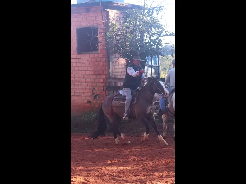 MVI_4408.MP4