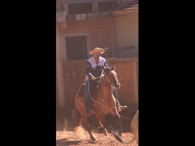 MVI_4711.MP4
