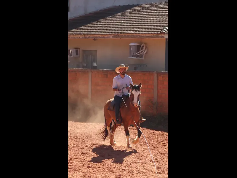 MVI_4908.MP4