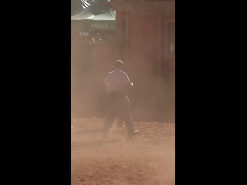 MVI_4934.MP4