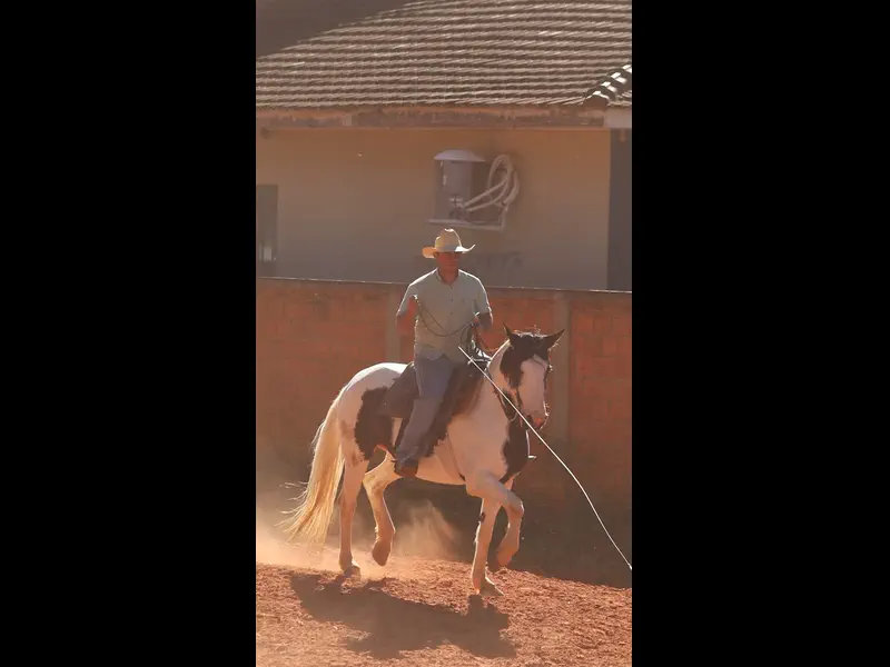 MVI_4970.MP4
