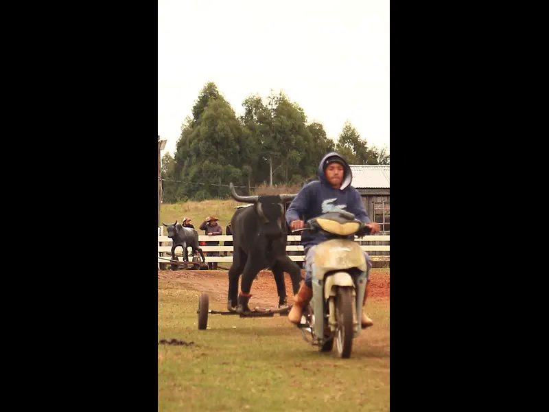 MVI_1310.MP4