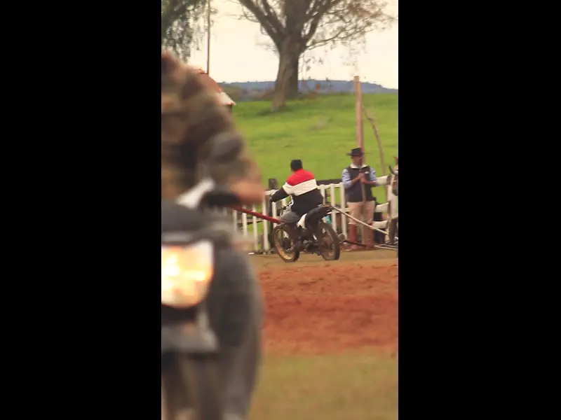 MVI_1295.MP4