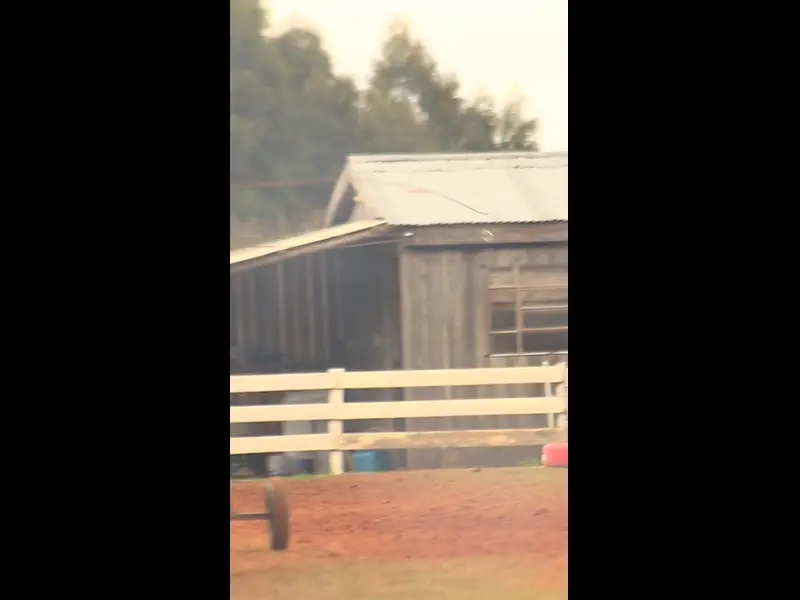 MVI_1284.MP4