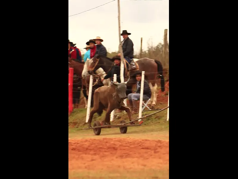 MVI_1276.MP4