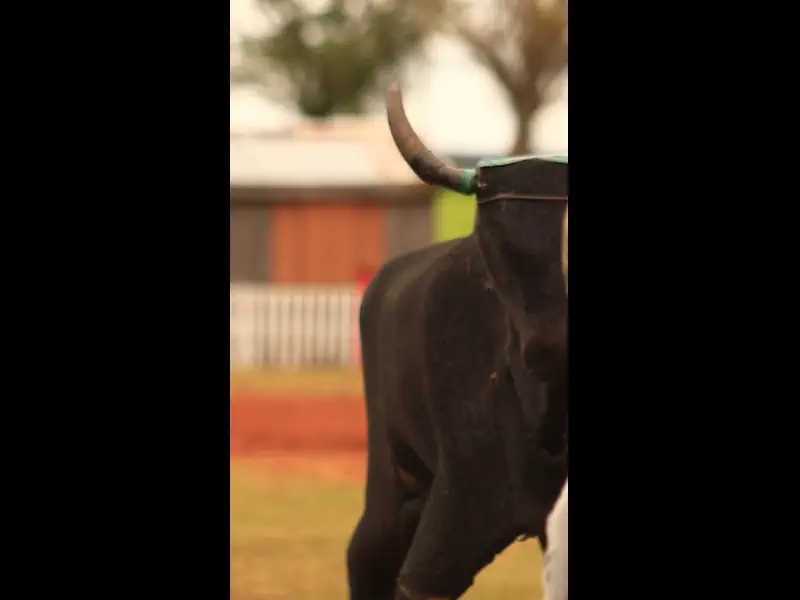 MVI_1268.MP4