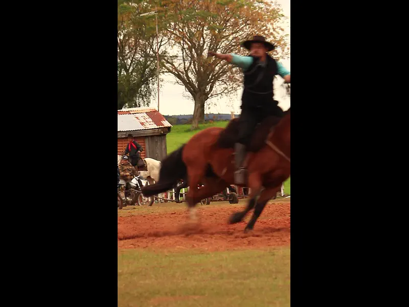 MVI_1245.MP4