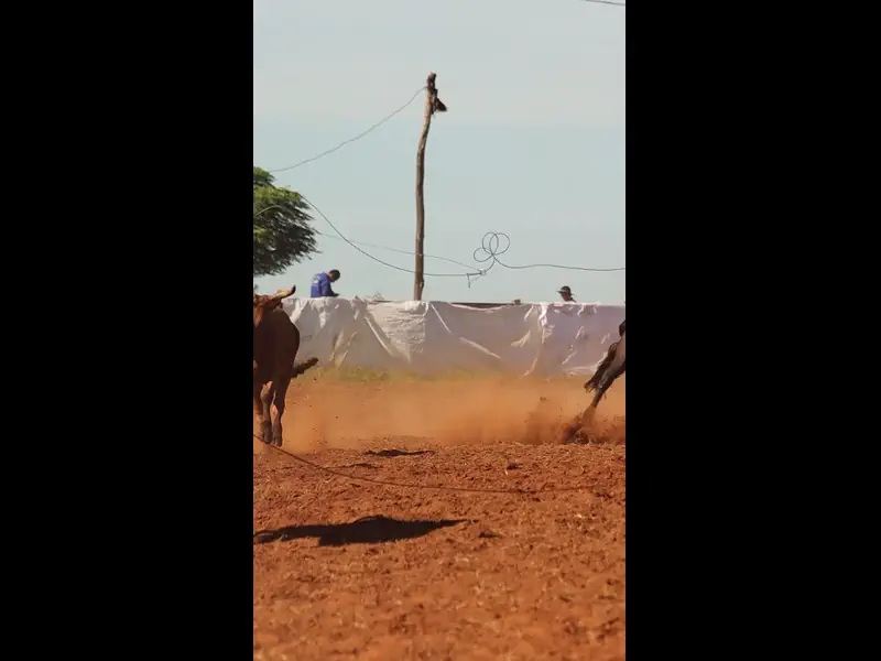MVI_1773.MP4
