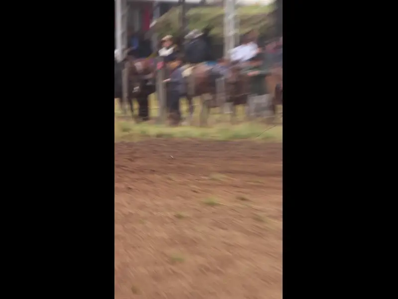 MVI_1528.MOV