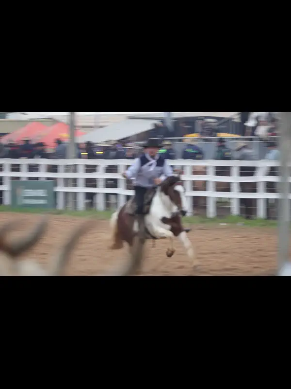 IMG_7691.MP4