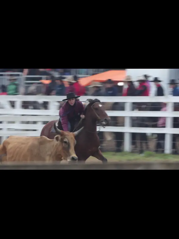 IMG_7766.MP4