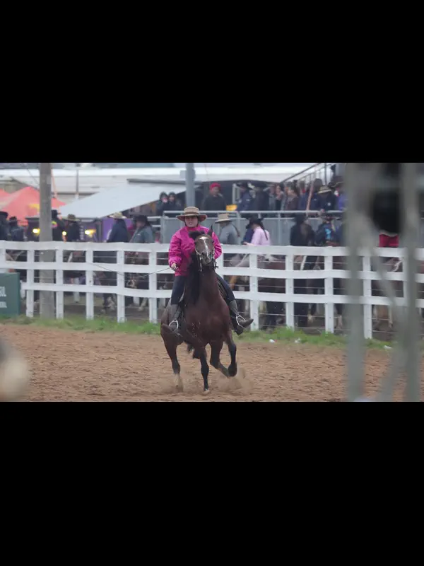 IMG_7779.MP4