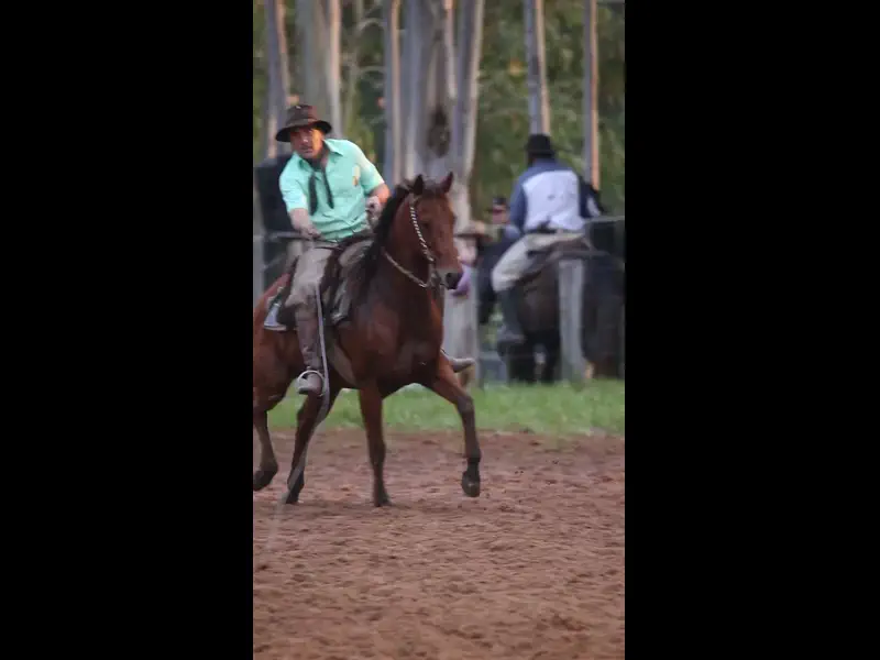 MVI_1713.MOV
