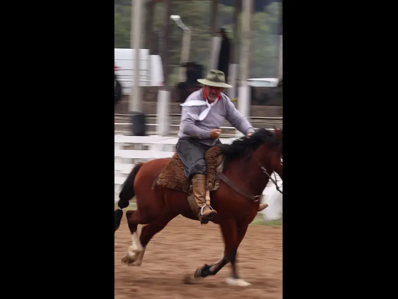 MVI_3837.MP4