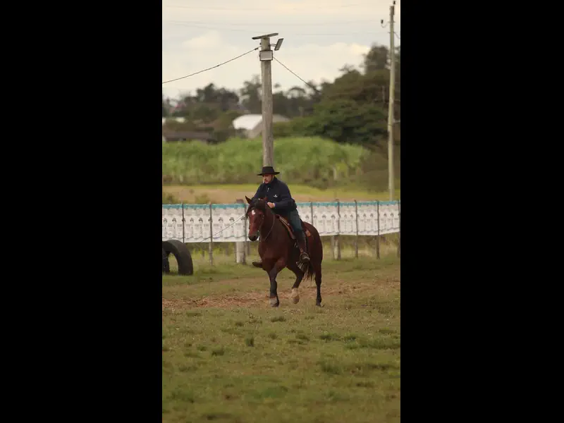 MVI_4084.MP4