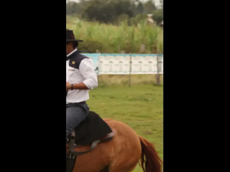 MVI_3847.MP4