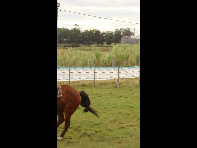 MVI_3865.MP4